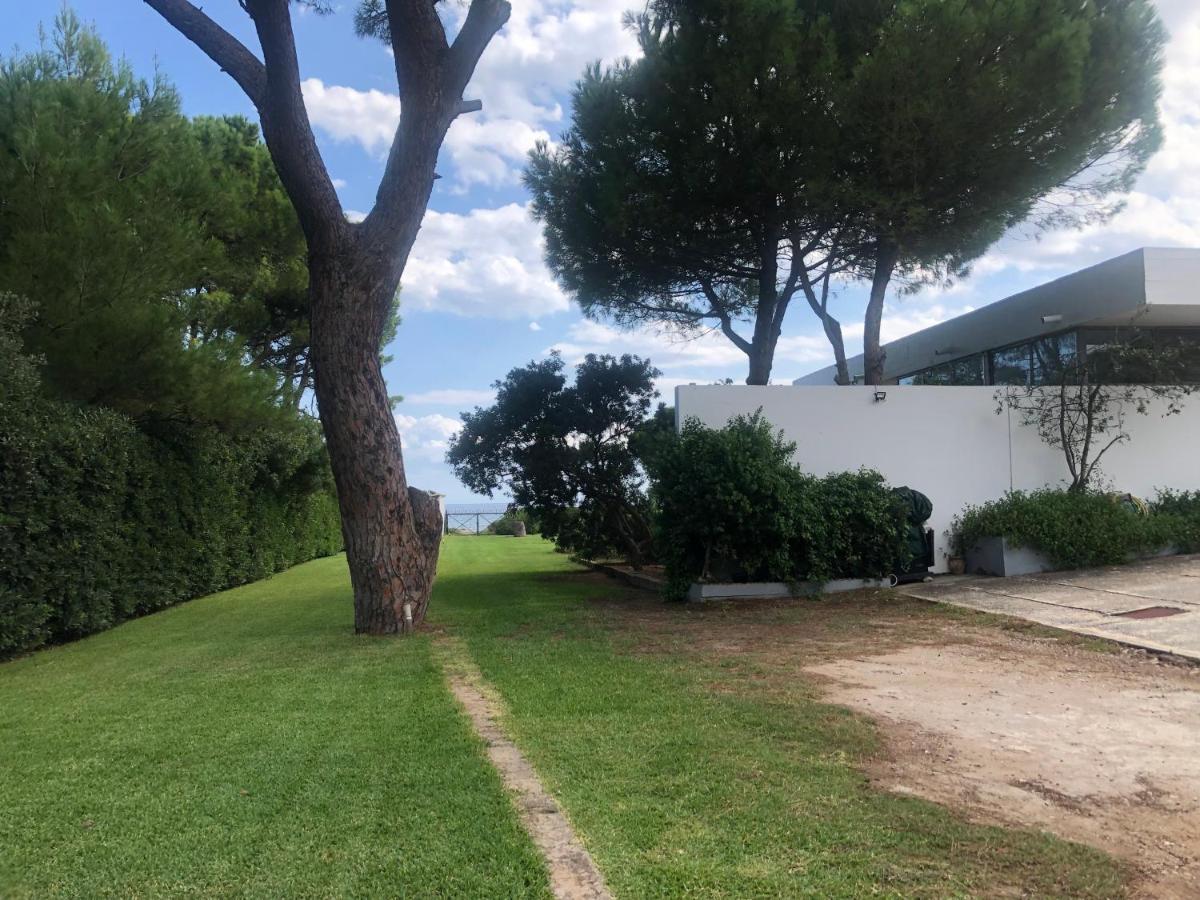 Beachfront Villa Hoopoe Schinias, Marathon Exterior photo
